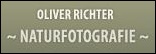 Oliver Richter Naturfotografie