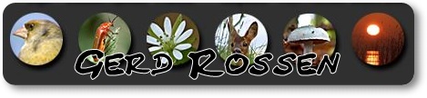 Gerd-Rossen Naturfotografie-digital-de
