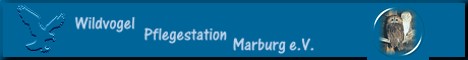 Bannerlink der Wildvogelpflegestation Marburg e.V.