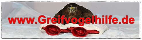 Banner-Greifvogelhilfe
